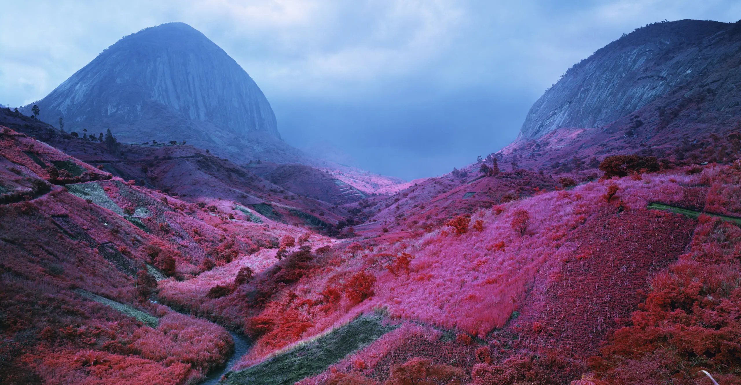 Deutsche Börse Prize 2014, Richard Mosse, Poison Glen, 2012