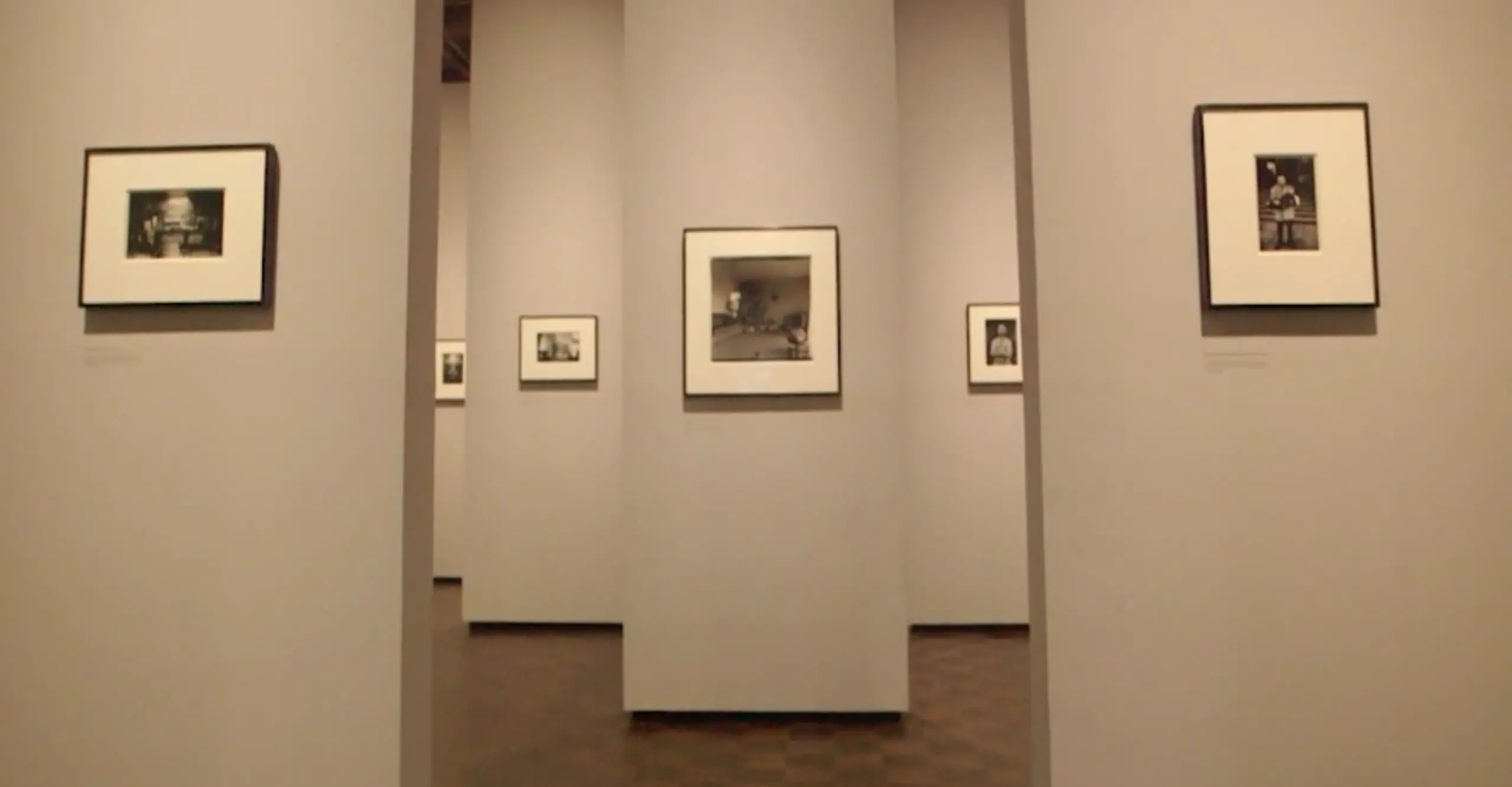 A Young Person Recommends... Diane Arbus: In the Beginning