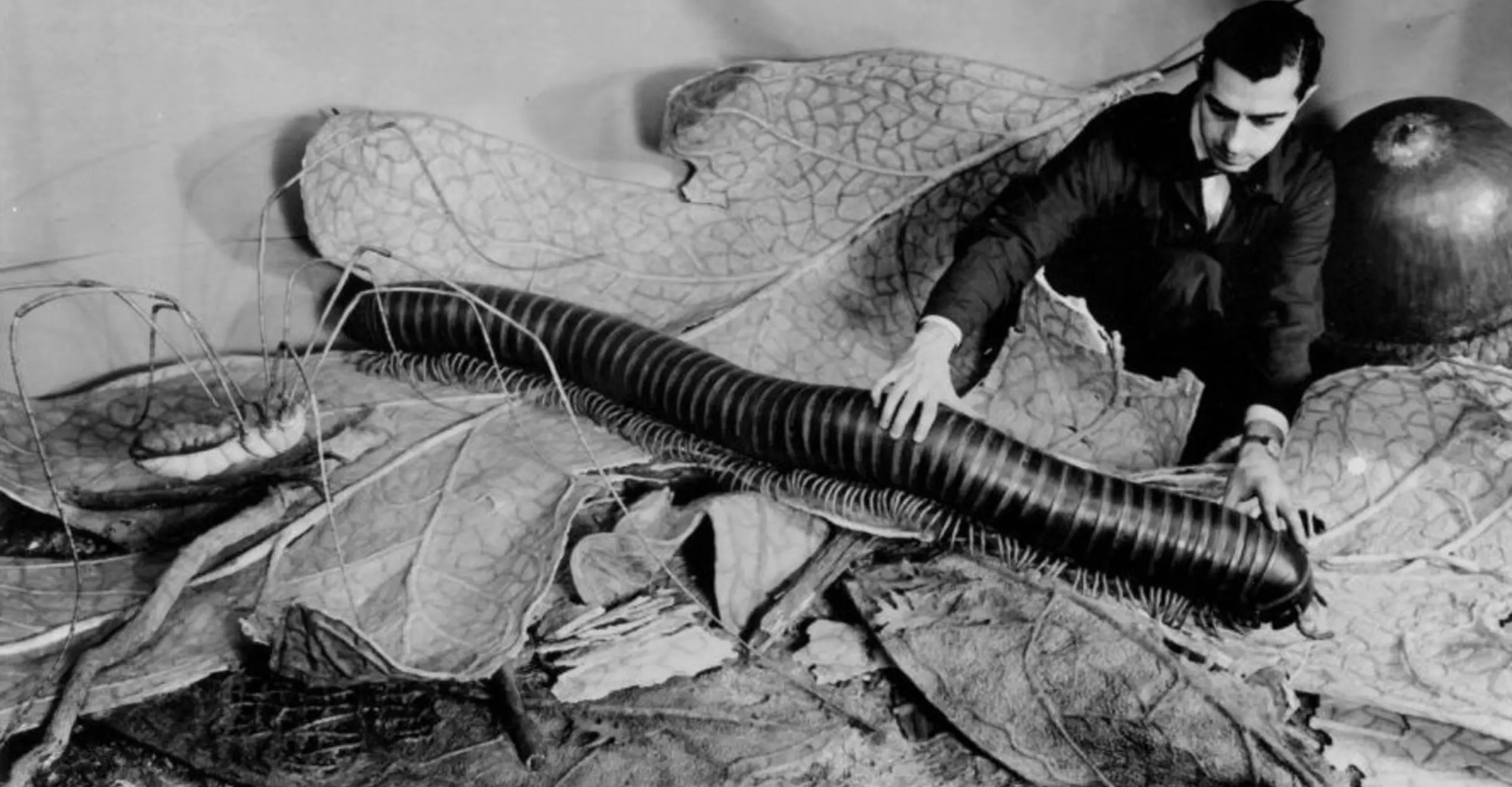 Ray de Lucia installing models (The forest floor in the hall of forests). © American Museum of Natural History, New York. Photographer: Alex J. Rota, 1958