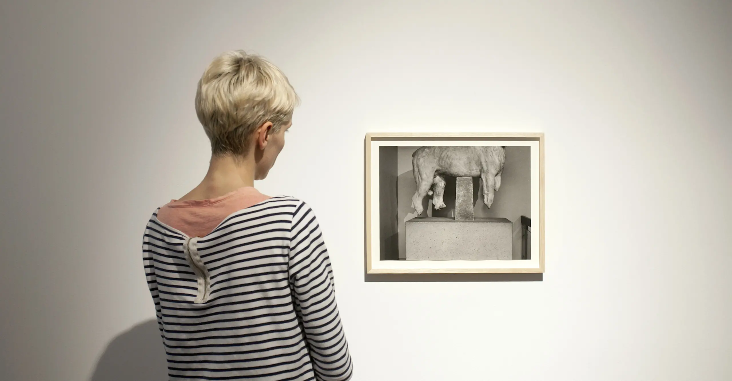 A visitor looks at a touchstone image on a wall