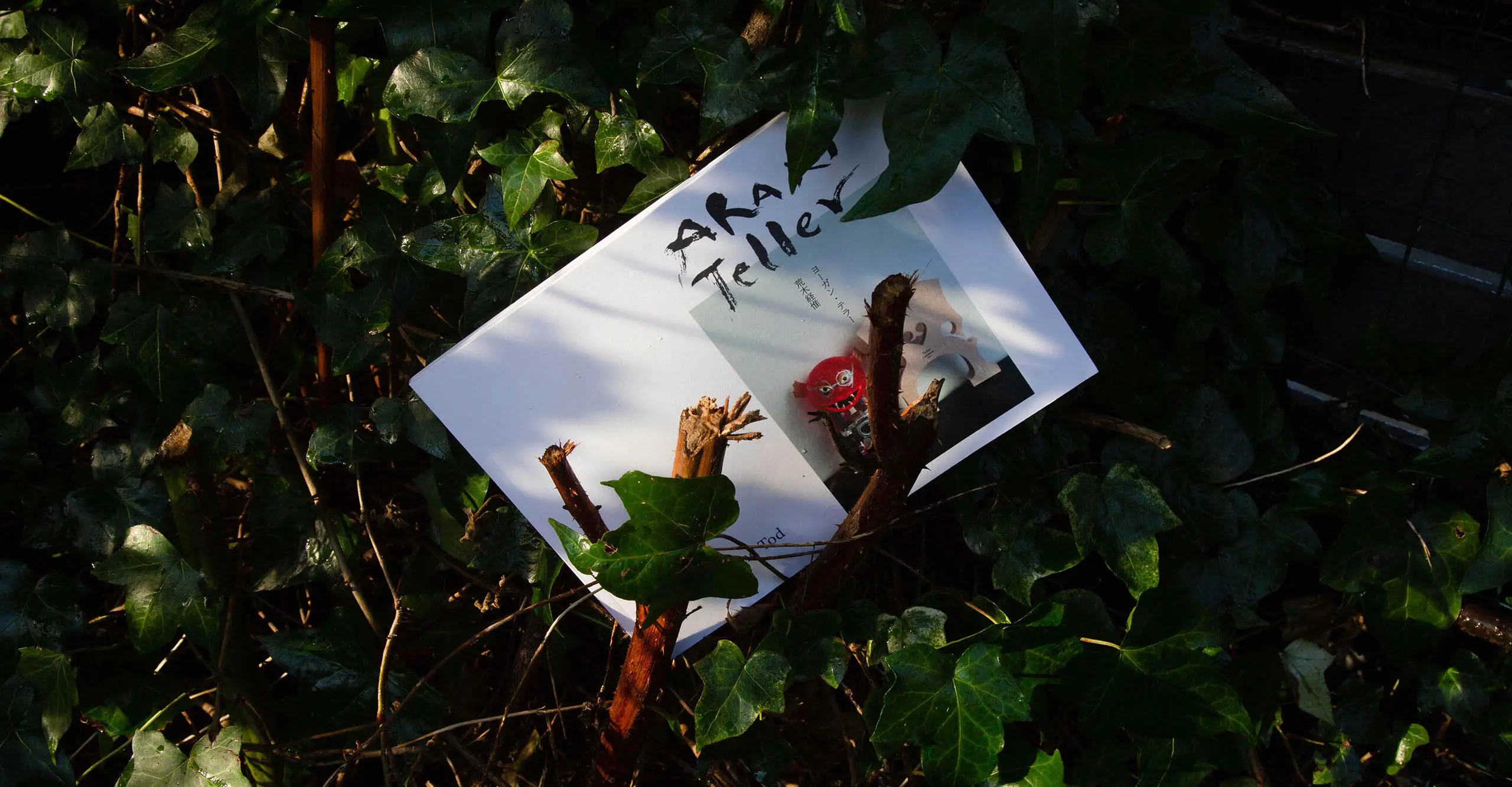 A book placed in green ivy.