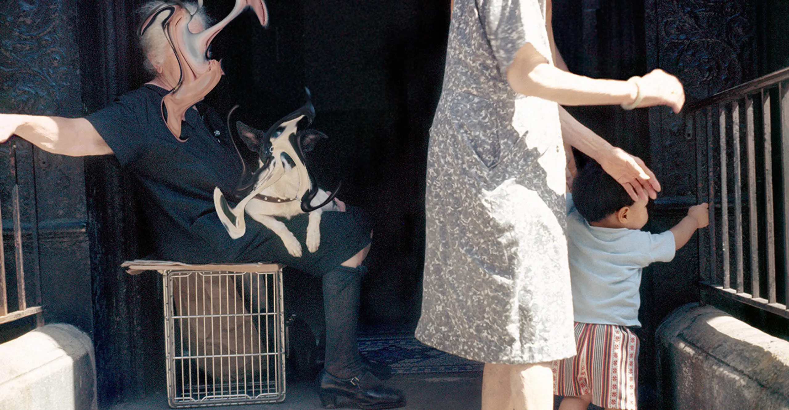 A photograph of a person sat on a dog cage with a distorted edited face.