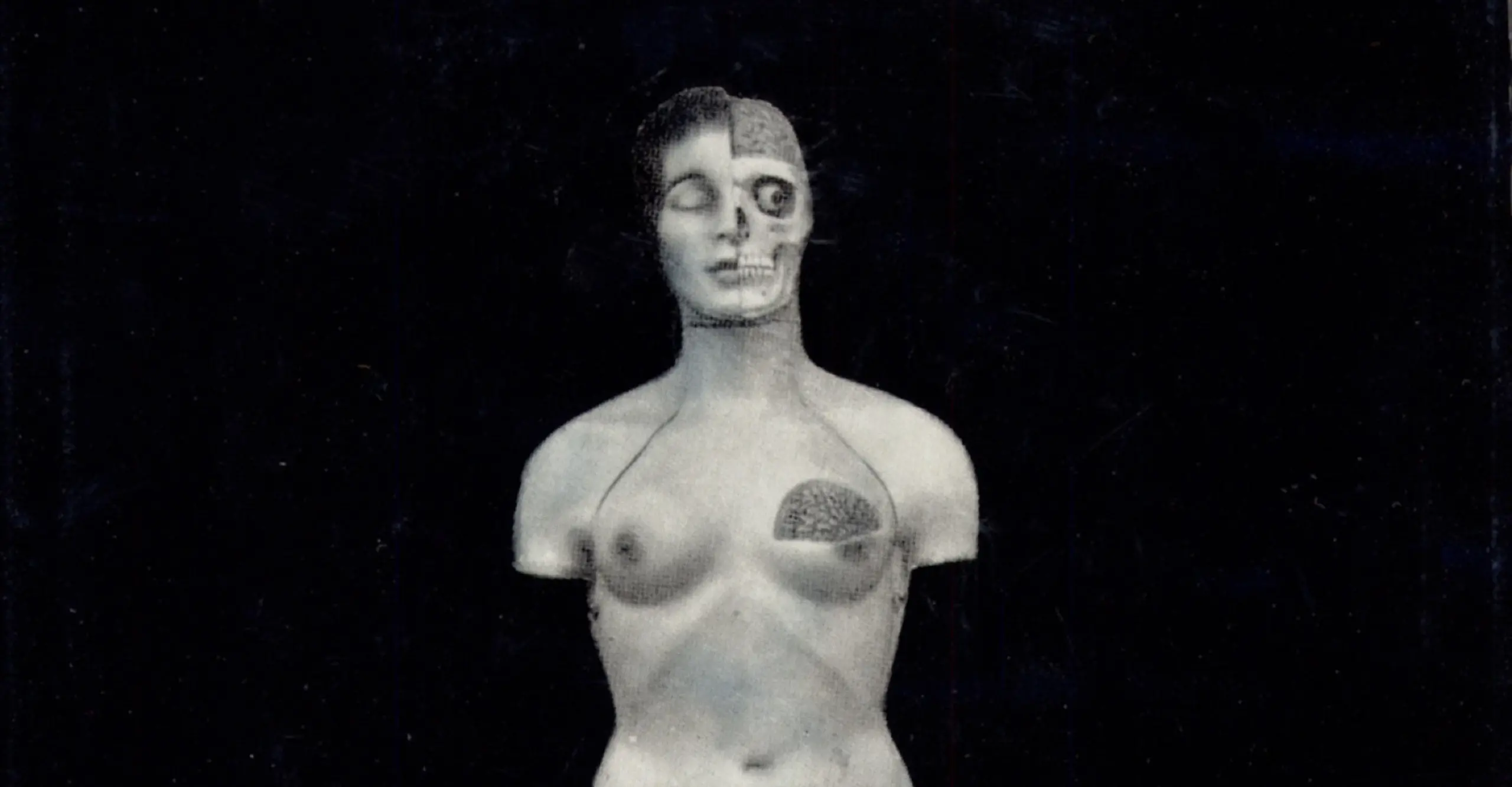 Light skinned mannequin displayed on black book cover. Figure is presented without arms and legs and with portions exposing more anatomical representation