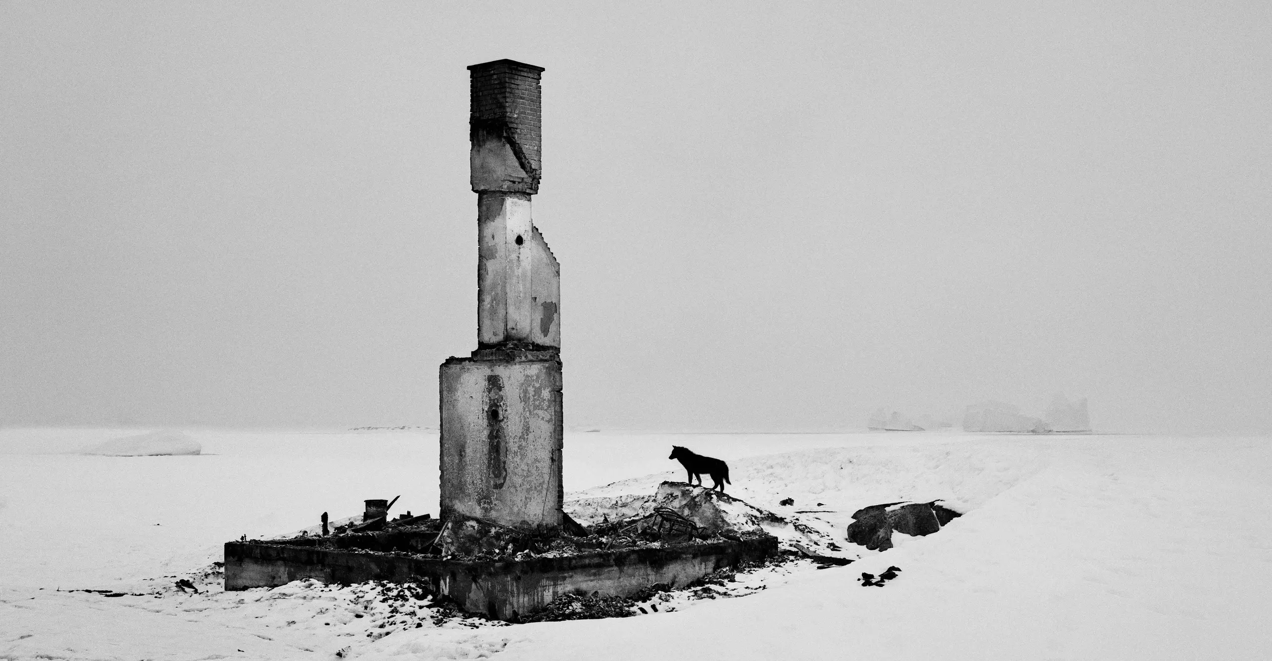 A snowy landscape with a crumbling brick tower in the centre. The silhouette of a wolf stand at the foot of the tower to the right. 