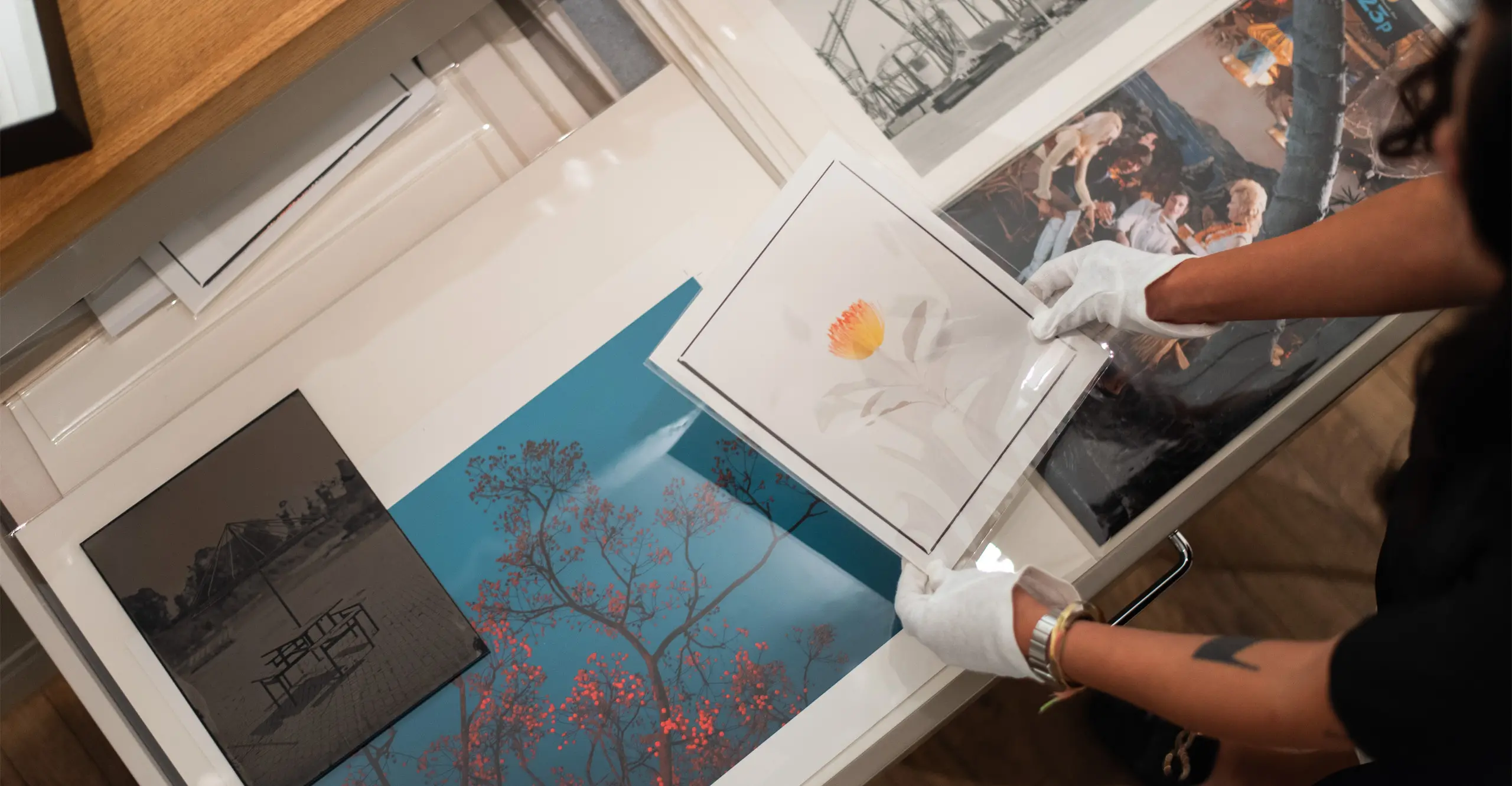 Photograph of two hands wearing white gloves handling a photograph taken from an open storage drawers taken from a 