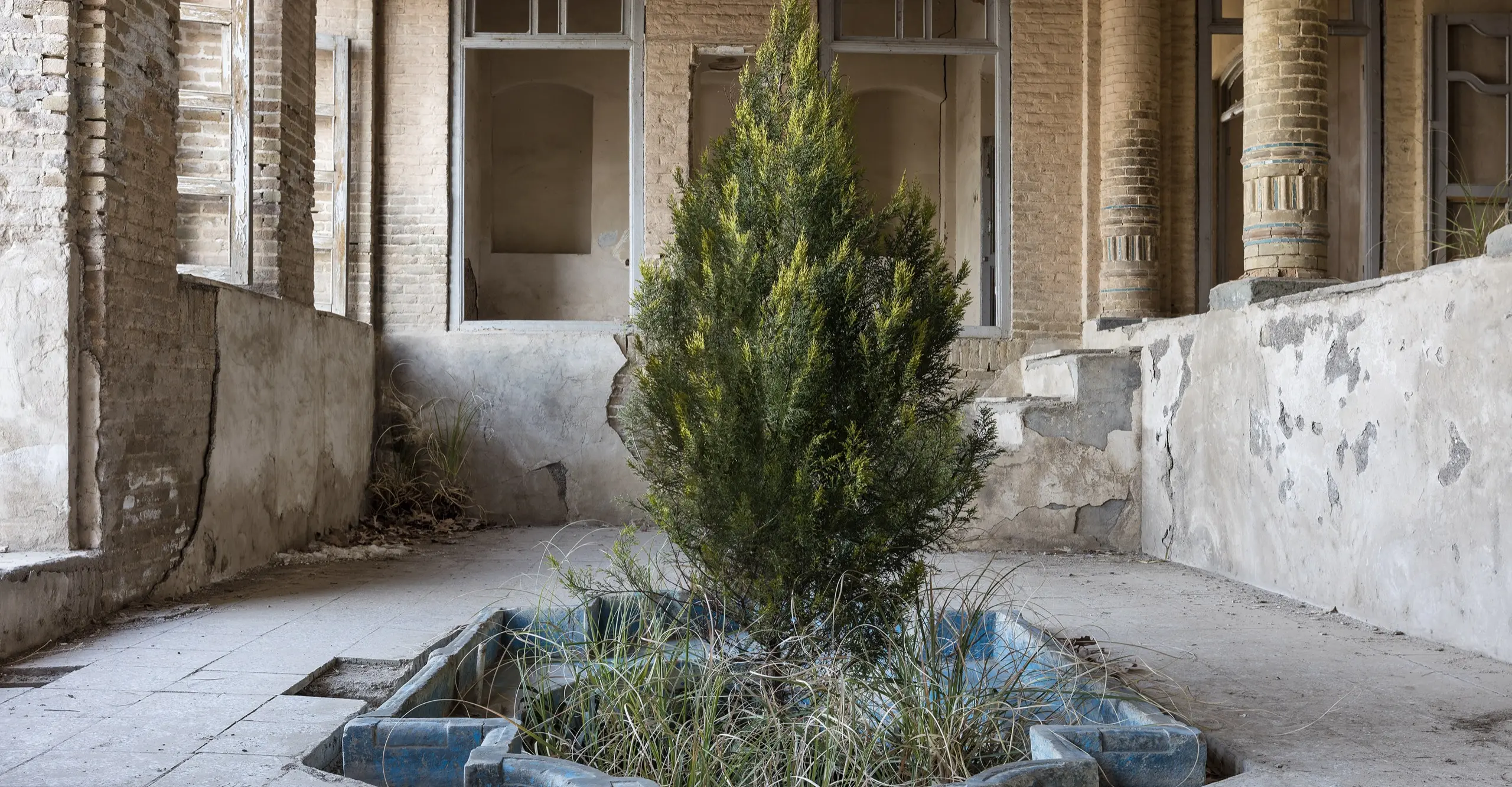 Colour photograph of a medium sized tree in the centre of a room, surrounded with windows and pillars 