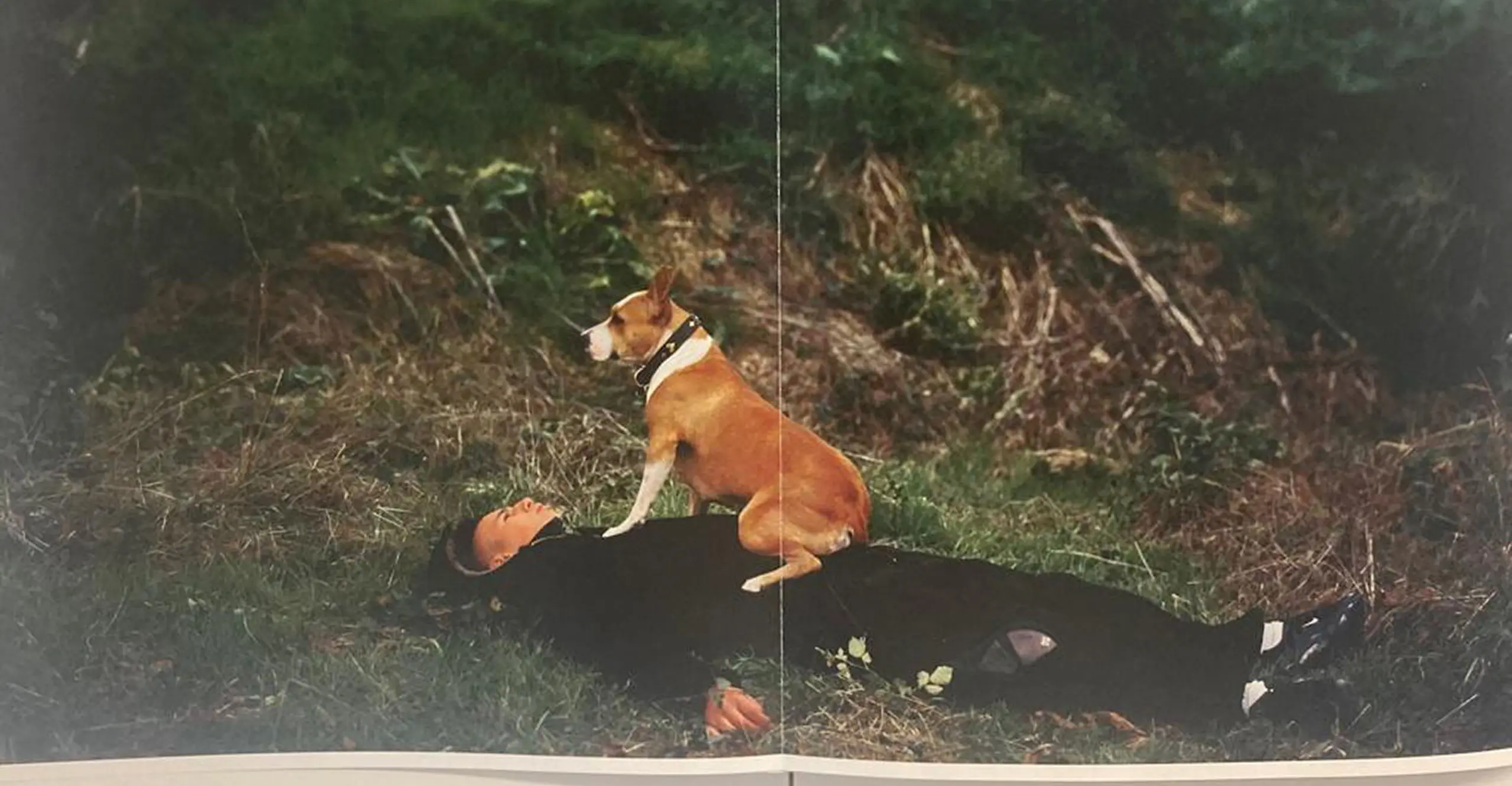 A book page with a person lying down with a dog sat on their stomach.