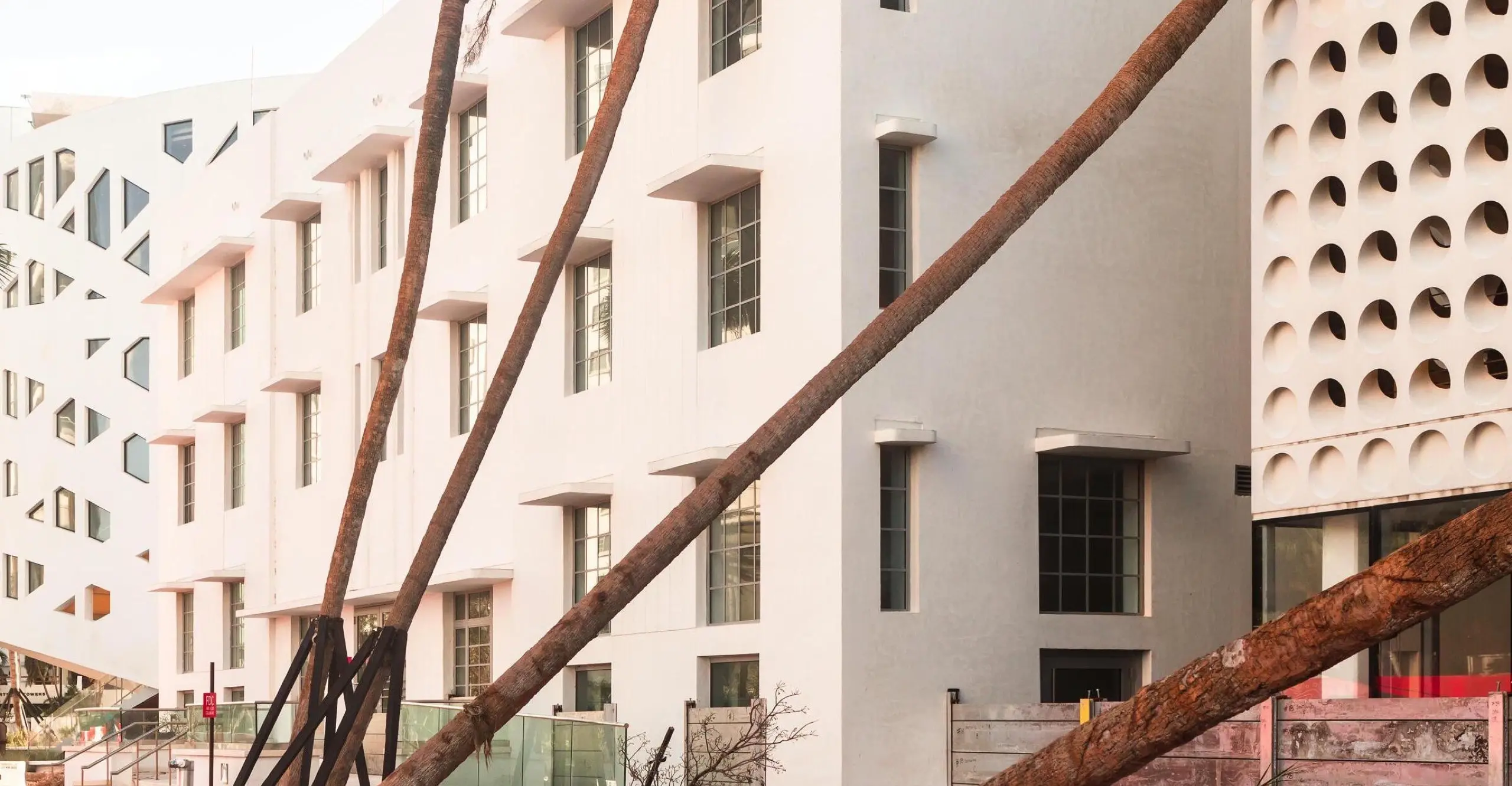 Photograph of a pink sidewalk with uprooted palm trees leaning on white Modernist buildings