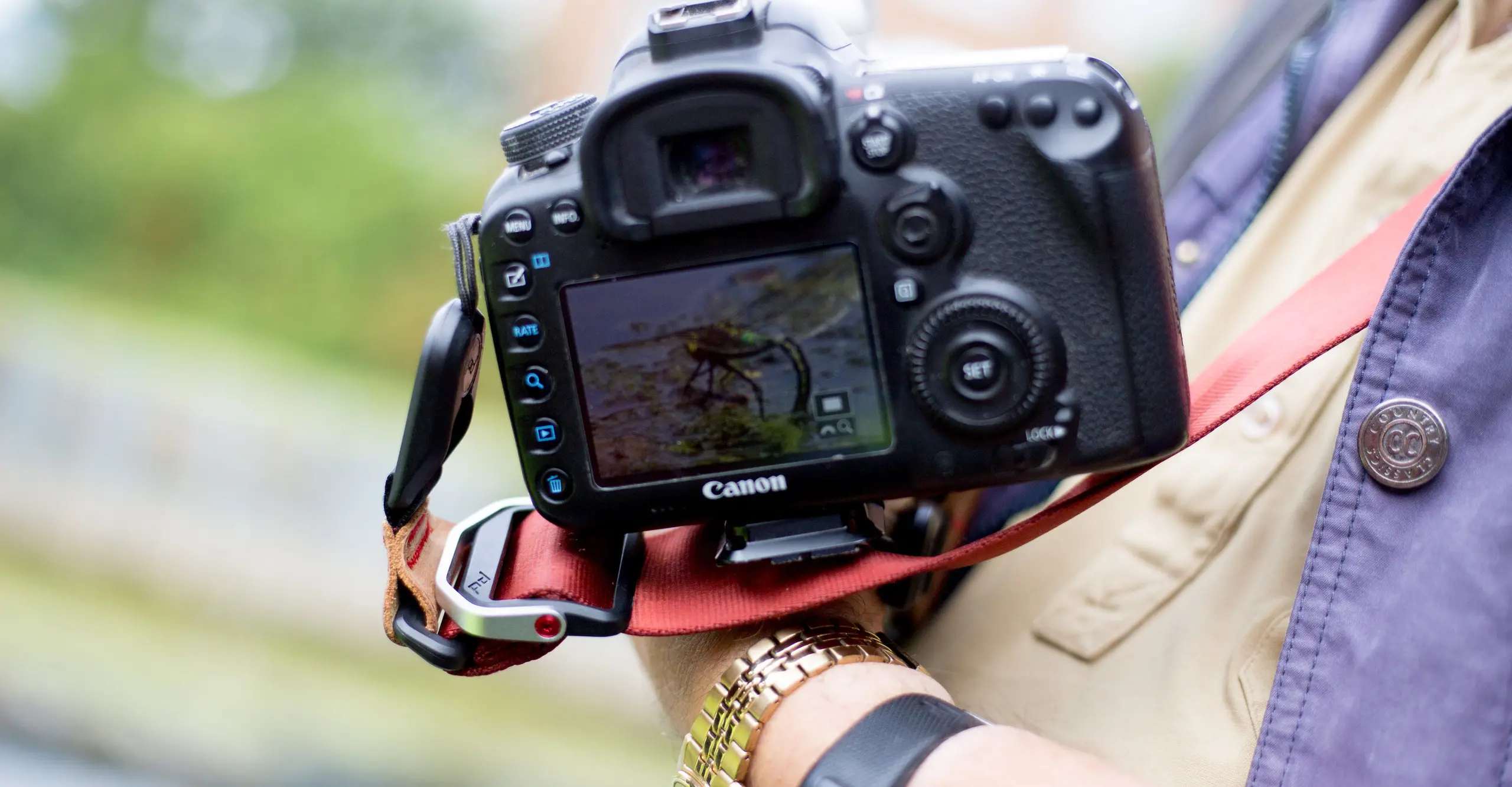 Image of a camera screen, with an image of a dragonfly on it 