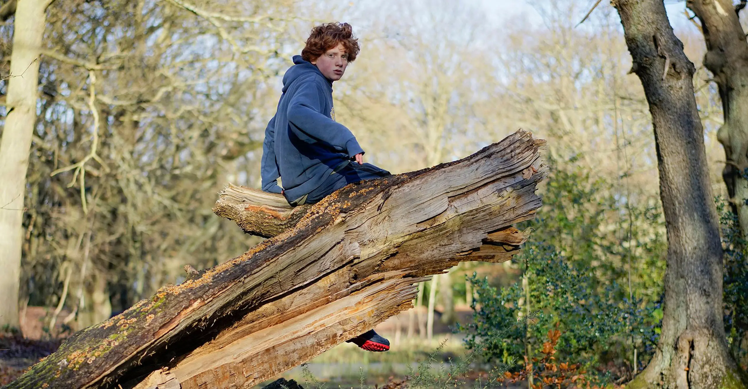 Child sitting on a fallen tree